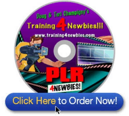 Product picture PLR For Newbies- Learn to Make Fast Money