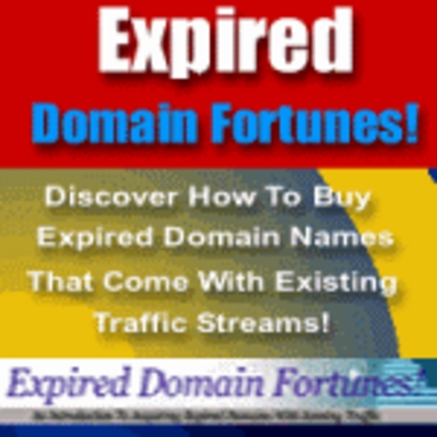 Product picture Expired Domain Fortune- Make Money from Domain Names